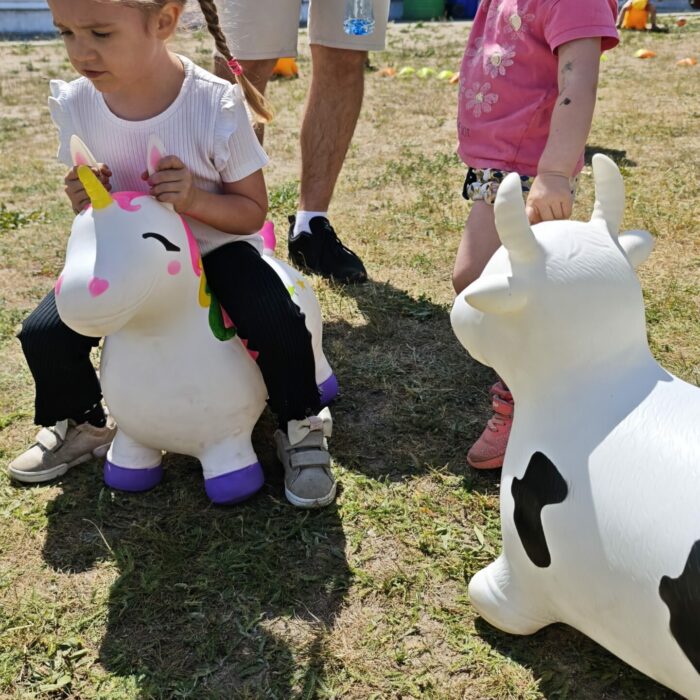 MVIMG_20260530_140005